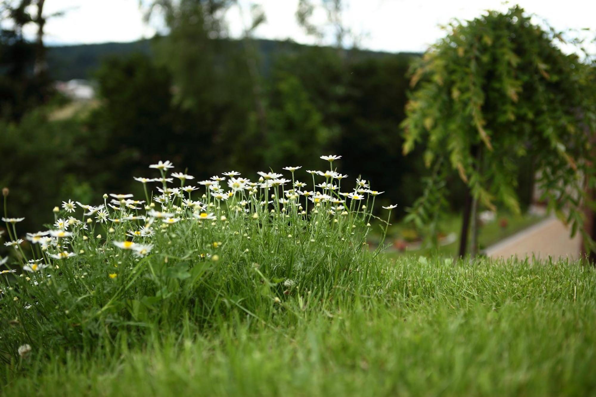 Favar Carpathians Skhidnytsia Exterior foto